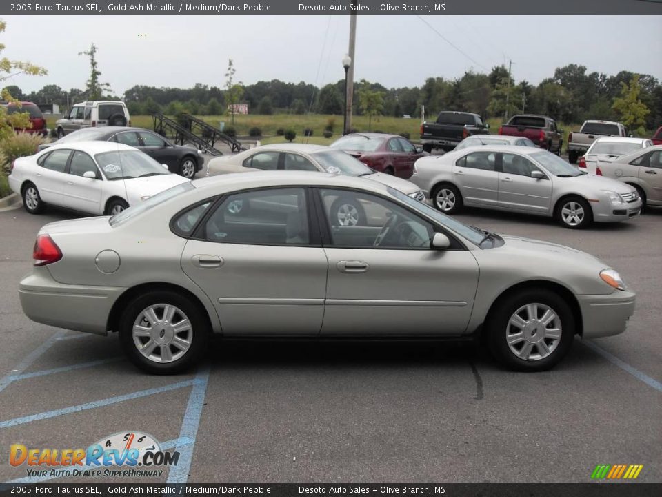 2005 Ford Taurus SEL Gold Ash Metallic / Medium/Dark Pebble Photo #5