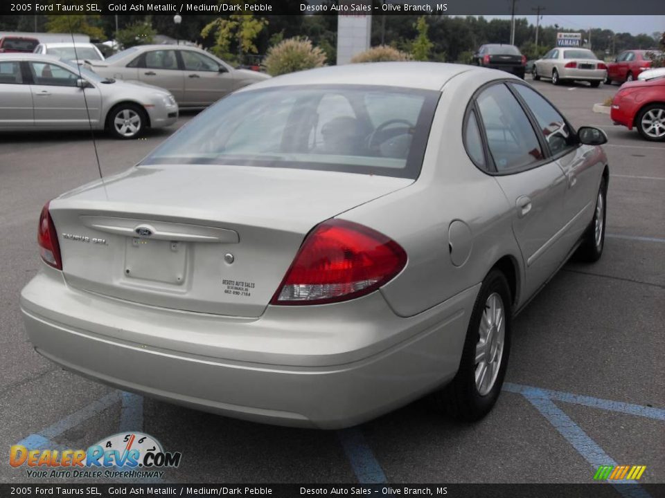 2005 Ford Taurus SEL Gold Ash Metallic / Medium/Dark Pebble Photo #6