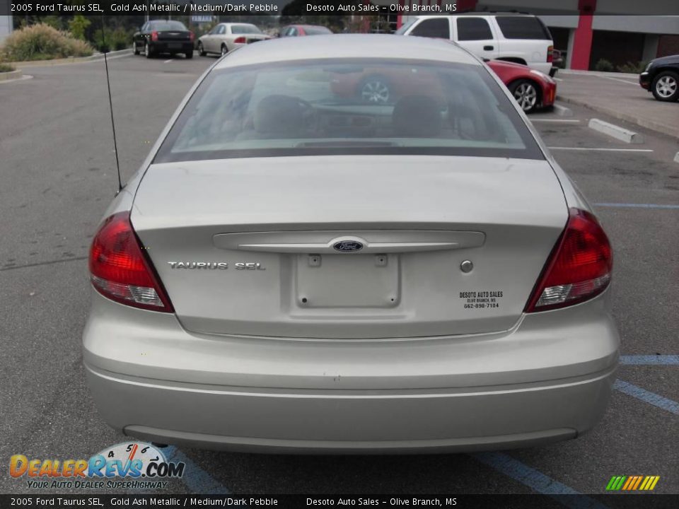 2005 Ford Taurus SEL Gold Ash Metallic / Medium/Dark Pebble Photo #7