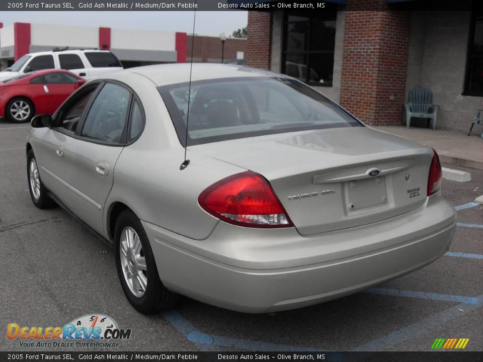 2005 Ford Taurus SEL Gold Ash Metallic / Medium/Dark Pebble Photo #8