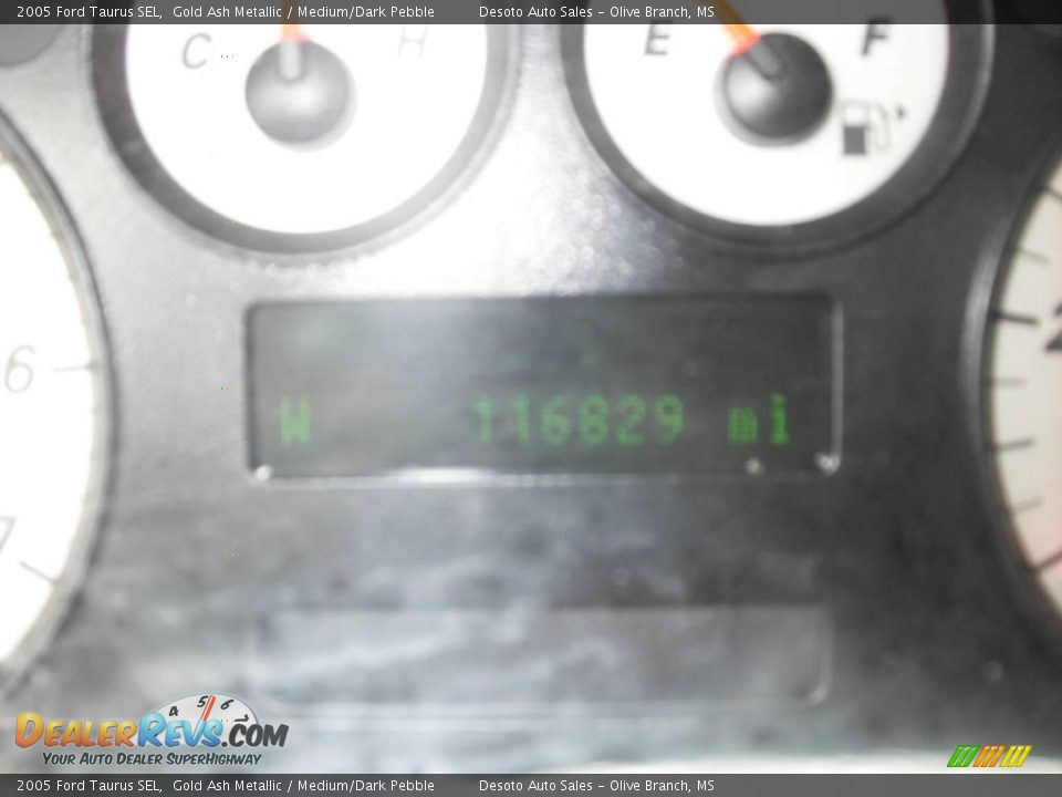 2005 Ford Taurus SEL Gold Ash Metallic / Medium/Dark Pebble Photo #9