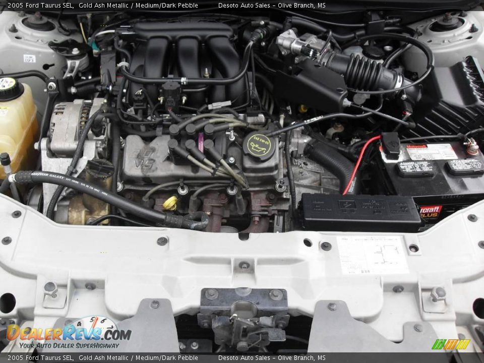 2005 Ford Taurus SEL Gold Ash Metallic / Medium/Dark Pebble Photo #17