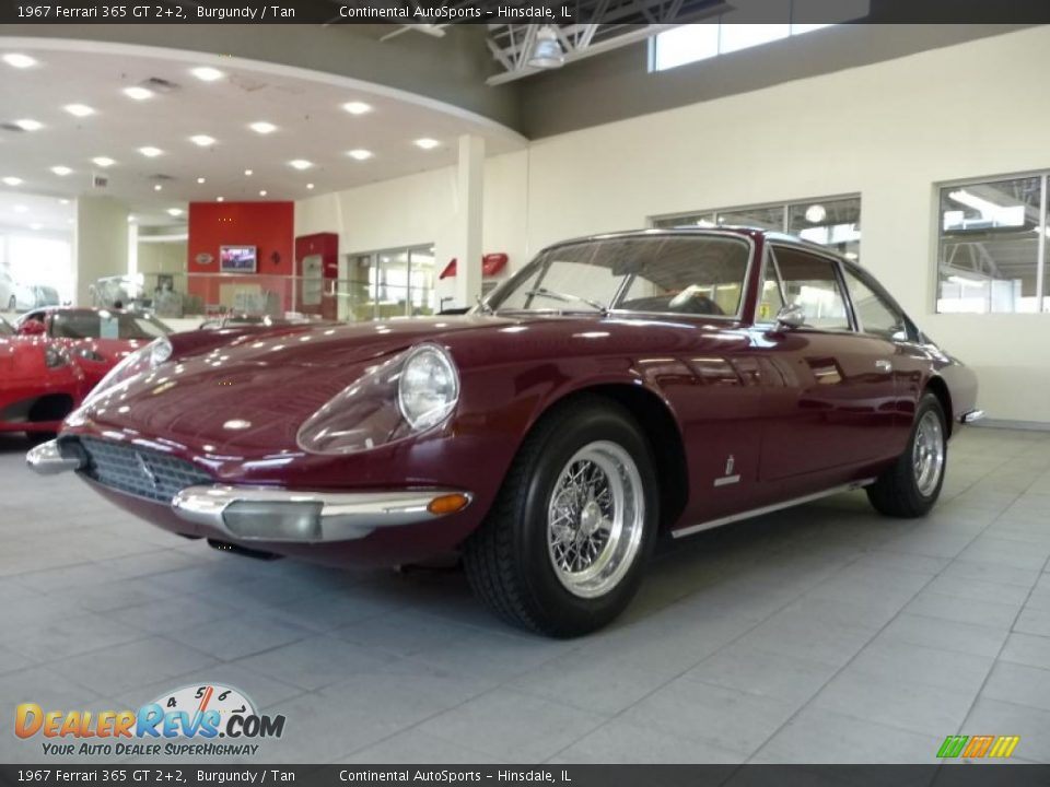 1967 Ferrari 365 GT 2+2 Burgundy / Tan Photo #1