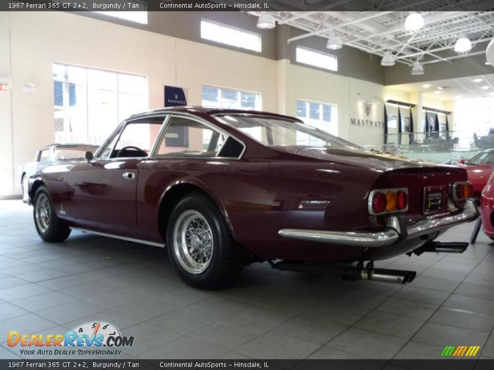 1967 Ferrari 365 GT 2+2 Burgundy / Tan Photo #3