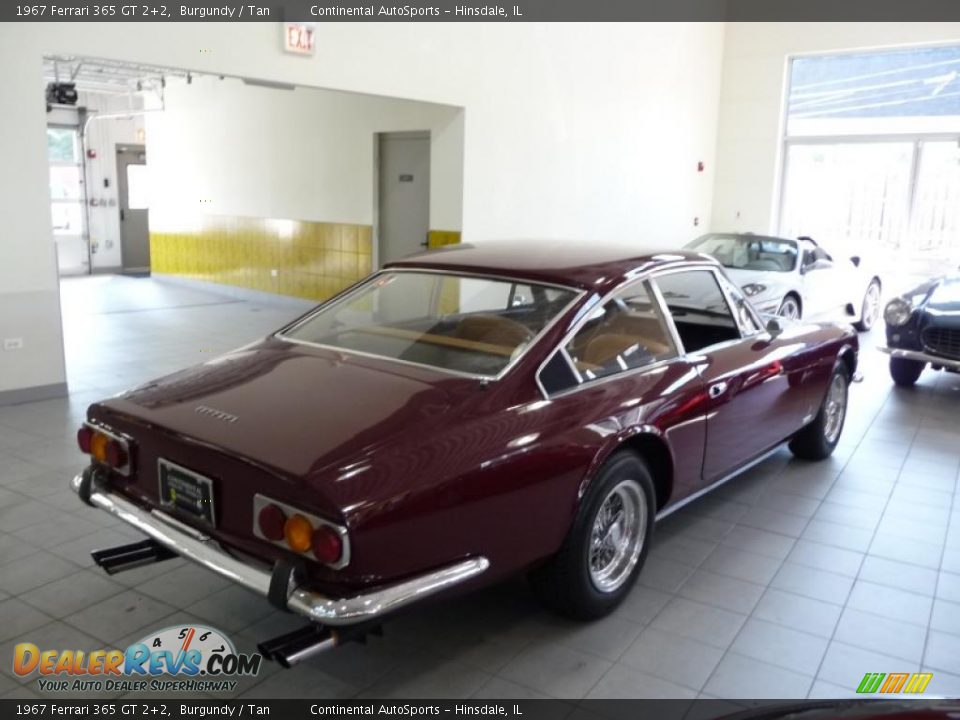 1967 Ferrari 365 GT 2+2 Burgundy / Tan Photo #4