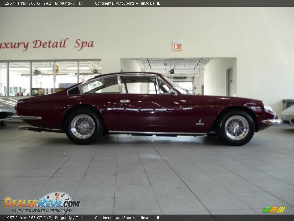 1967 Ferrari 365 GT 2+2 Burgundy / Tan Photo #5
