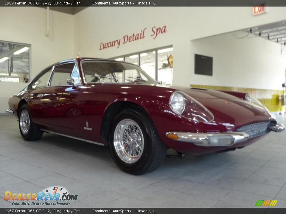 1967 Ferrari 365 GT 2+2 Burgundy / Tan Photo #6