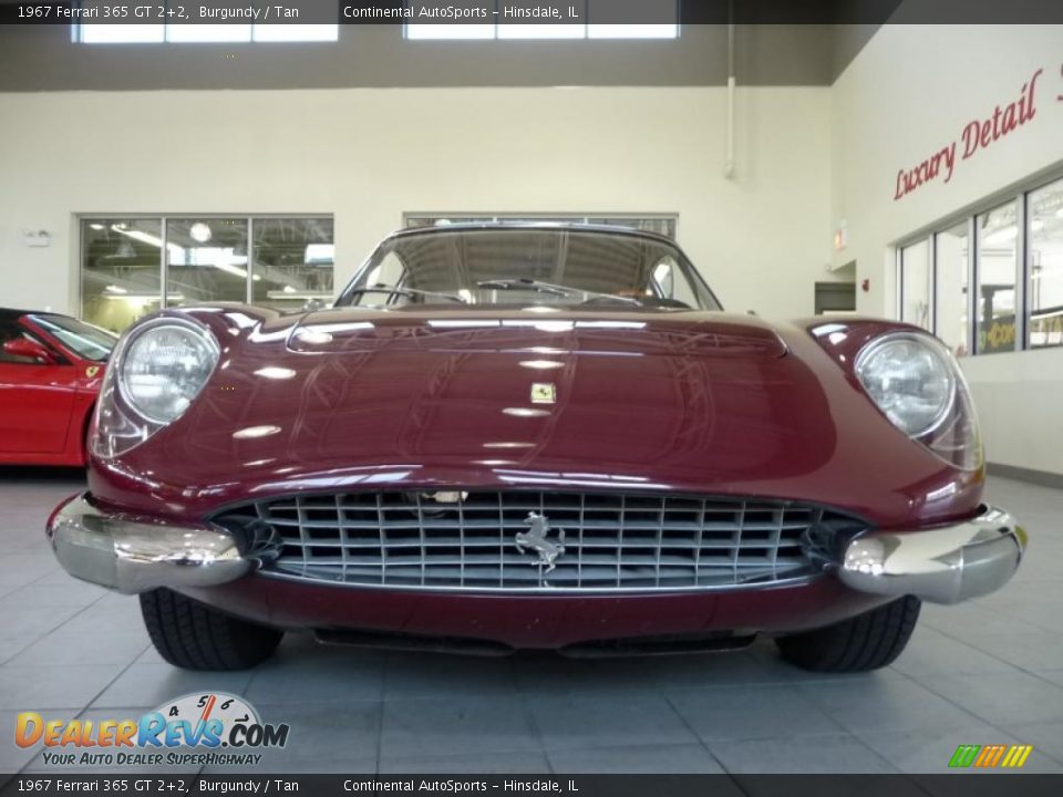 1967 Ferrari 365 GT 2+2 Burgundy / Tan Photo #7