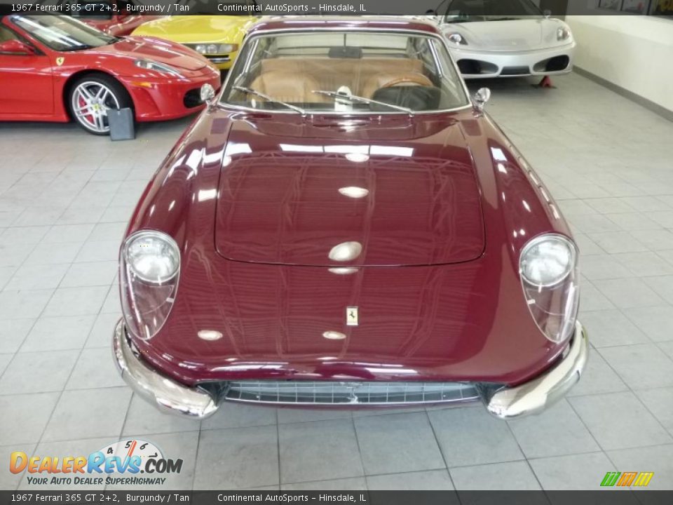 1967 Ferrari 365 GT 2+2 Burgundy / Tan Photo #8