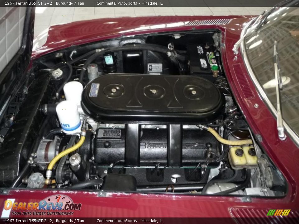1967 Ferrari 365 GT 2+2 Burgundy / Tan Photo #9
