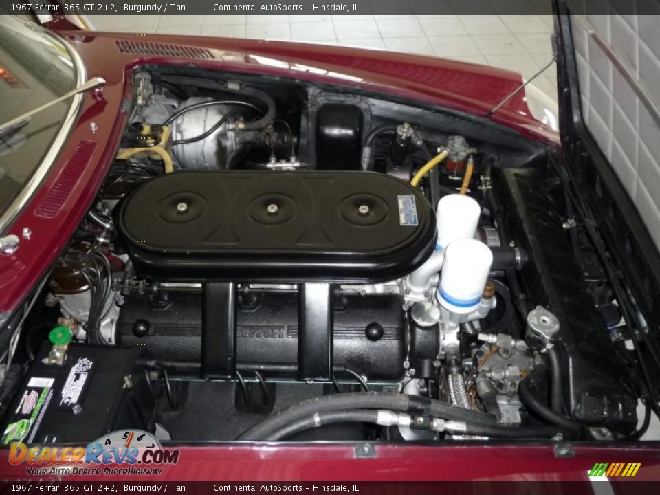 1967 Ferrari 365 GT 2+2 Burgundy / Tan Photo #10
