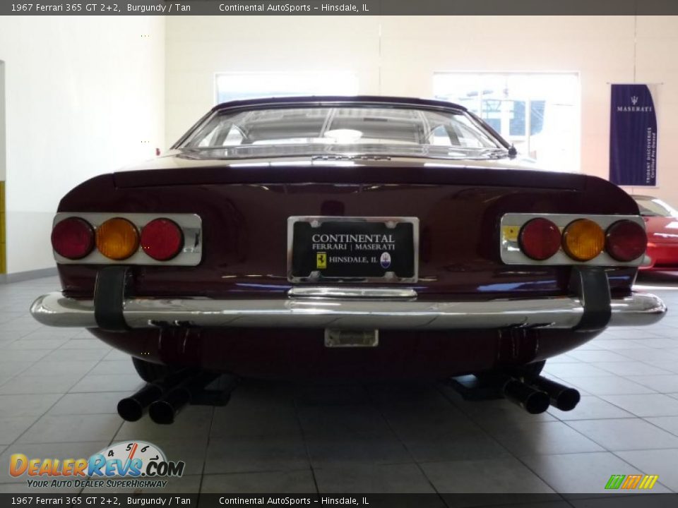 1967 Ferrari 365 GT 2+2 Burgundy / Tan Photo #11