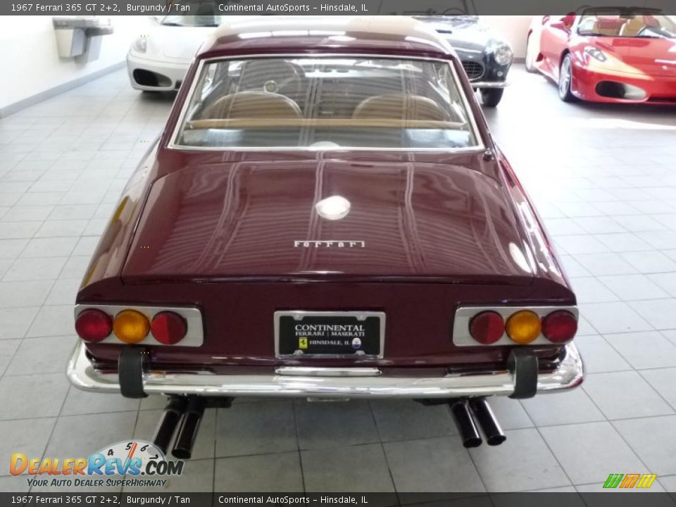 1967 Ferrari 365 GT 2+2 Burgundy / Tan Photo #12