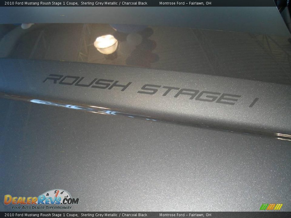 2010 Ford Mustang Roush Stage 1 Coupe Sterling Grey Metallic / Charcoal Black Photo #10