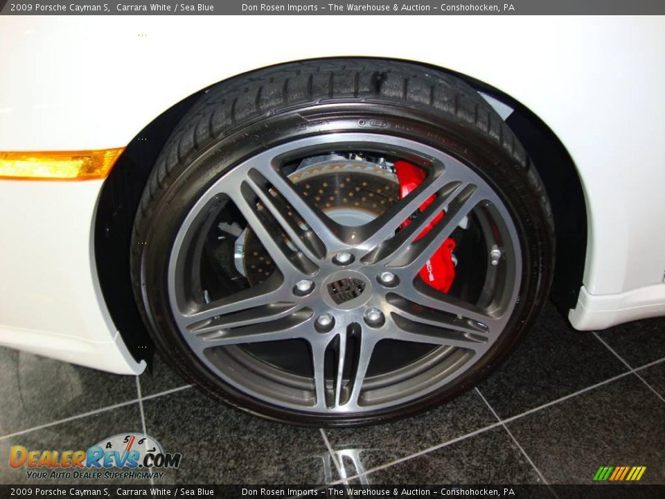 2009 Porsche Cayman S Wheel Photo #19