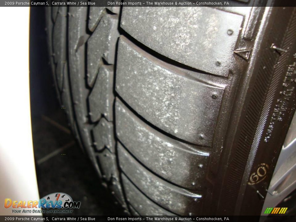 2009 Porsche Cayman S Carrara White / Sea Blue Photo #20