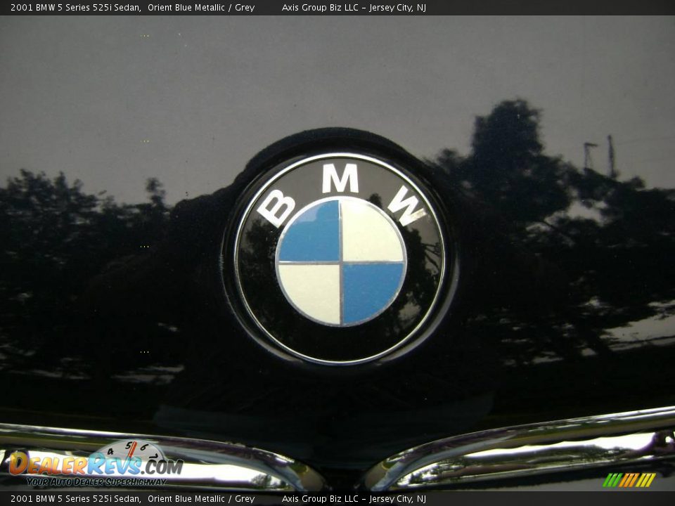 2001 BMW 5 Series 525i Sedan Orient Blue Metallic / Grey Photo #9