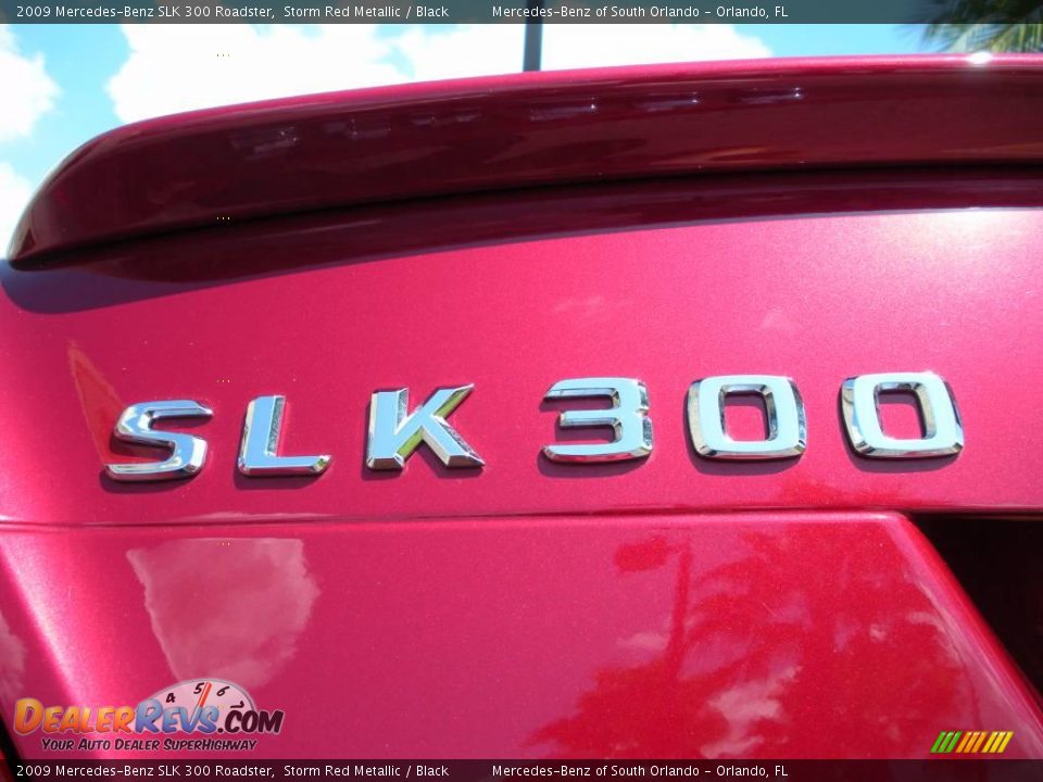 2009 Mercedes-Benz SLK 300 Roadster Storm Red Metallic / Black Photo #14