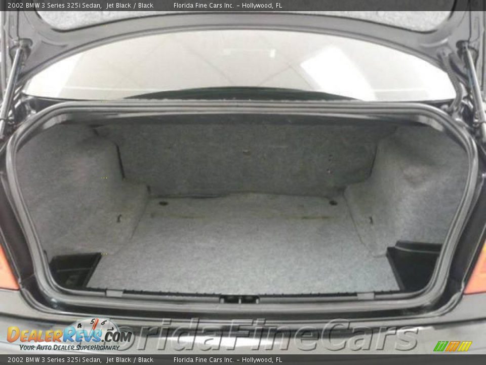 2002 BMW 3 Series 325i Sedan Jet Black / Black Photo #10