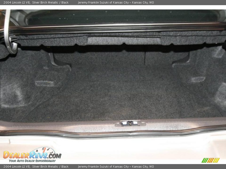 2004 Lincoln LS V8 Silver Birch Metallic / Black Photo #25