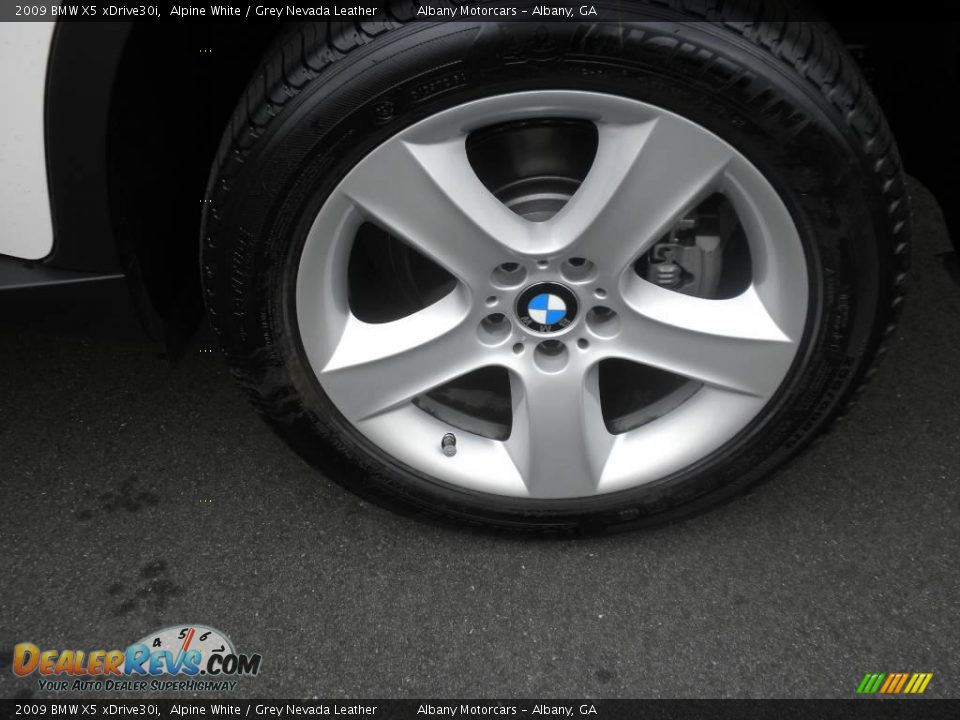 2009 BMW X5 xDrive30i Alpine White / Grey Nevada Leather Photo #6