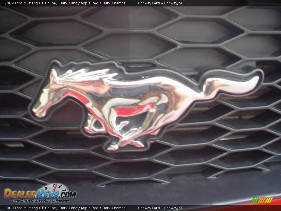 2009 Ford Mustang GT Coupe Dark Candy Apple Red / Dark Charcoal Photo #12