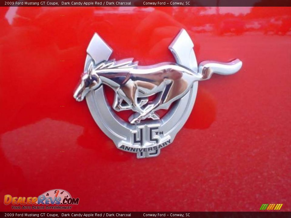 2009 Ford Mustang GT Coupe Dark Candy Apple Red / Dark Charcoal Photo #13