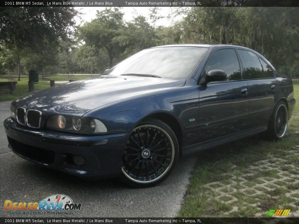 2001 BMW M5 Sedan Le Mans Blue Metallic / Le Mans Blue Photo #6