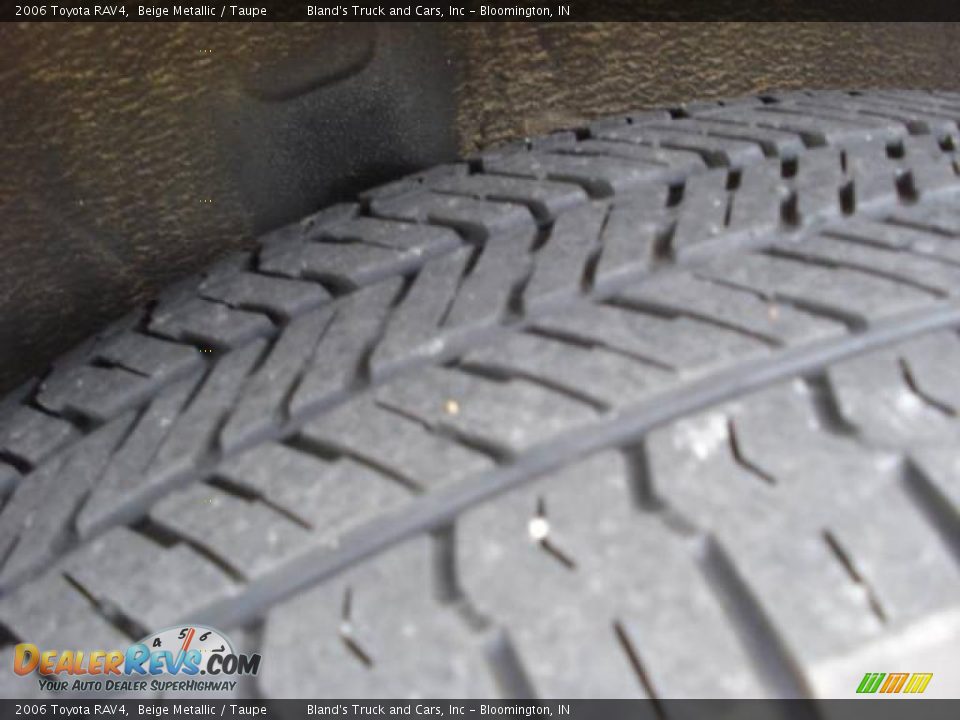 2006 Toyota RAV4 Beige Metallic / Taupe Photo #11