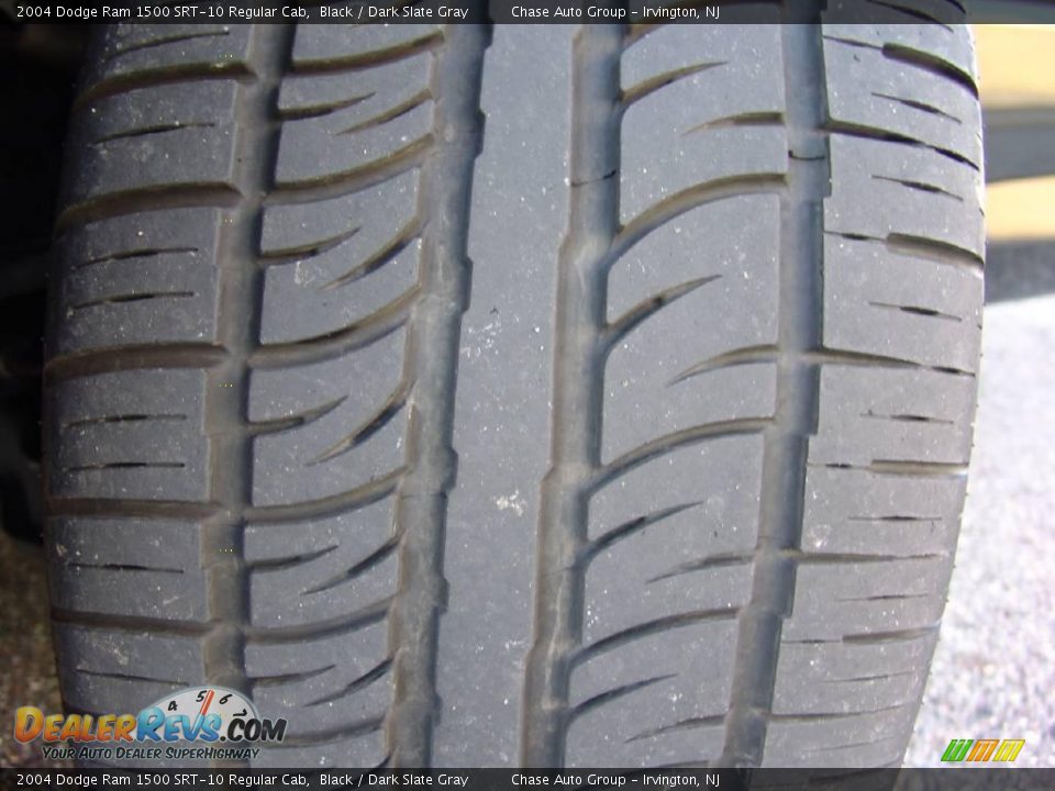 2004 Dodge Ram 1500 SRT-10 Regular Cab Black / Dark Slate Gray Photo #18