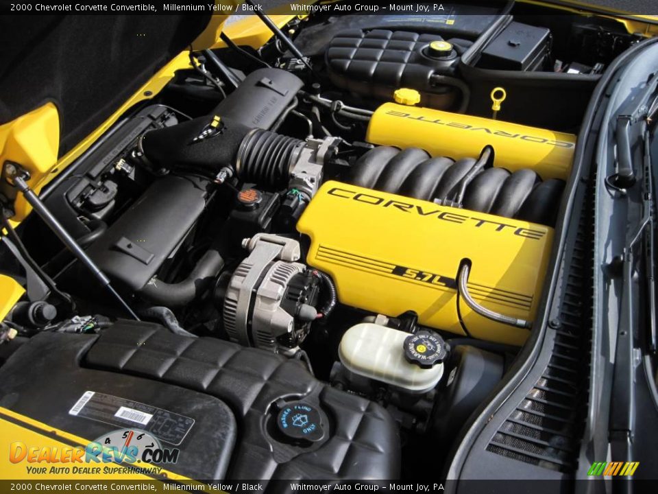 2000 Chevrolet Corvette Convertible Millennium Yellow / Black Photo #11