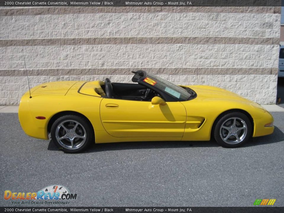 2000 Chevrolet Corvette Convertible Millennium Yellow / Black Photo #13