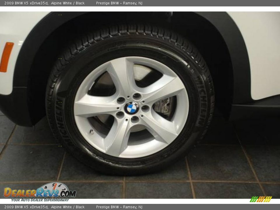 2009 BMW X5 xDrive35d Alpine White / Black Photo #7