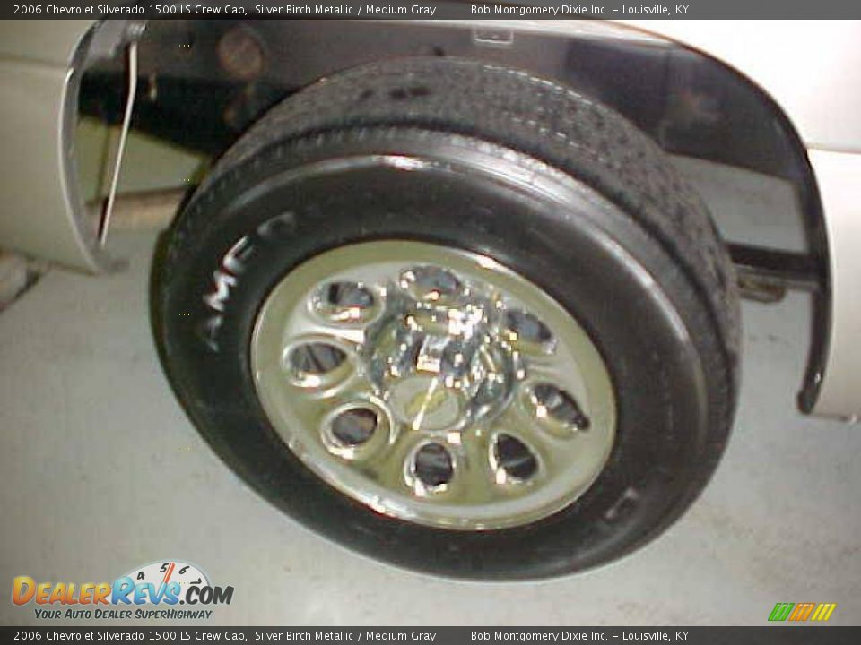 2006 Chevrolet Silverado 1500 LS Crew Cab Silver Birch Metallic / Medium Gray Photo #10