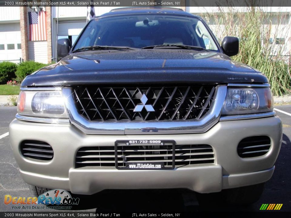 2003 Mitsubishi Montero Sport XLS 4x4 Solano Black Pearl / Tan Photo #2