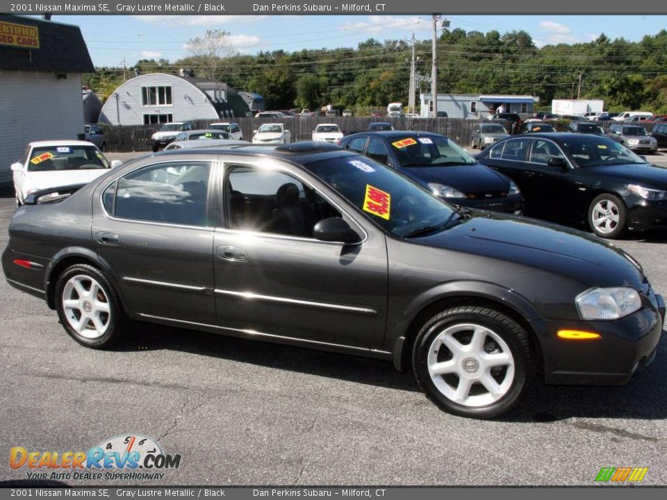 2001 Black nissan maxima #2