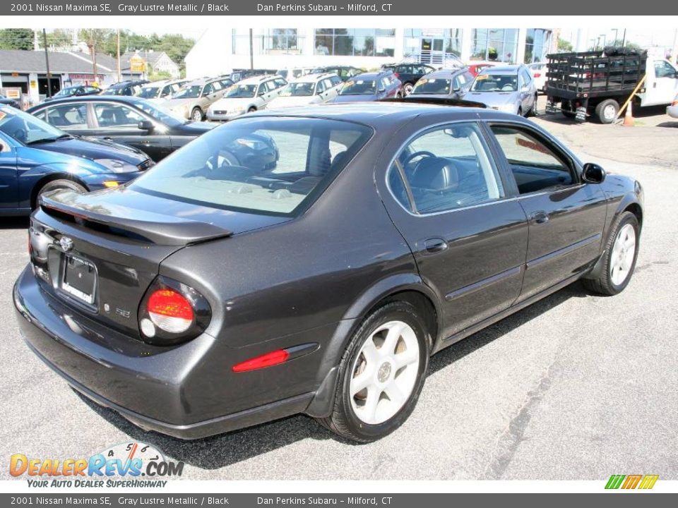 2001 Nissan Maxima SE Gray Lustre Metallic / Black Photo #5