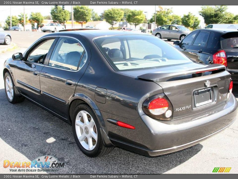 2001 Nissan Maxima SE Gray Lustre Metallic / Black Photo #6