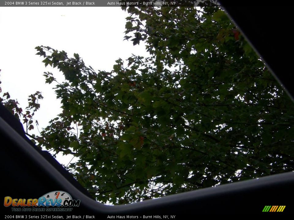 2004 BMW 3 Series 325xi Sedan Jet Black / Black Photo #14