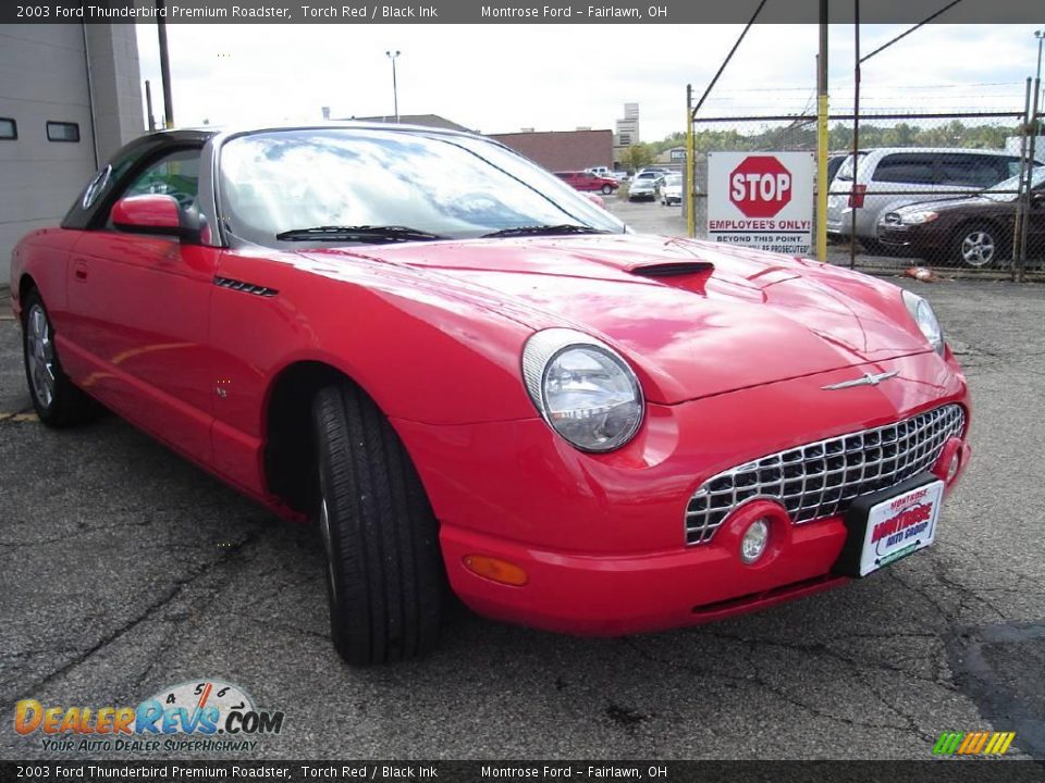 2003 Ford Thunderbird Premium Roadster Torch Red / Black Ink Photo #7