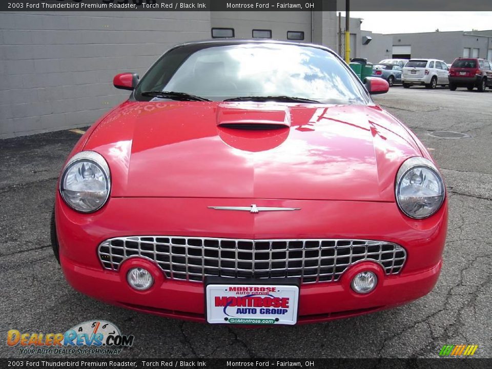 2003 Ford Thunderbird Premium Roadster Torch Red / Black Ink Photo #8