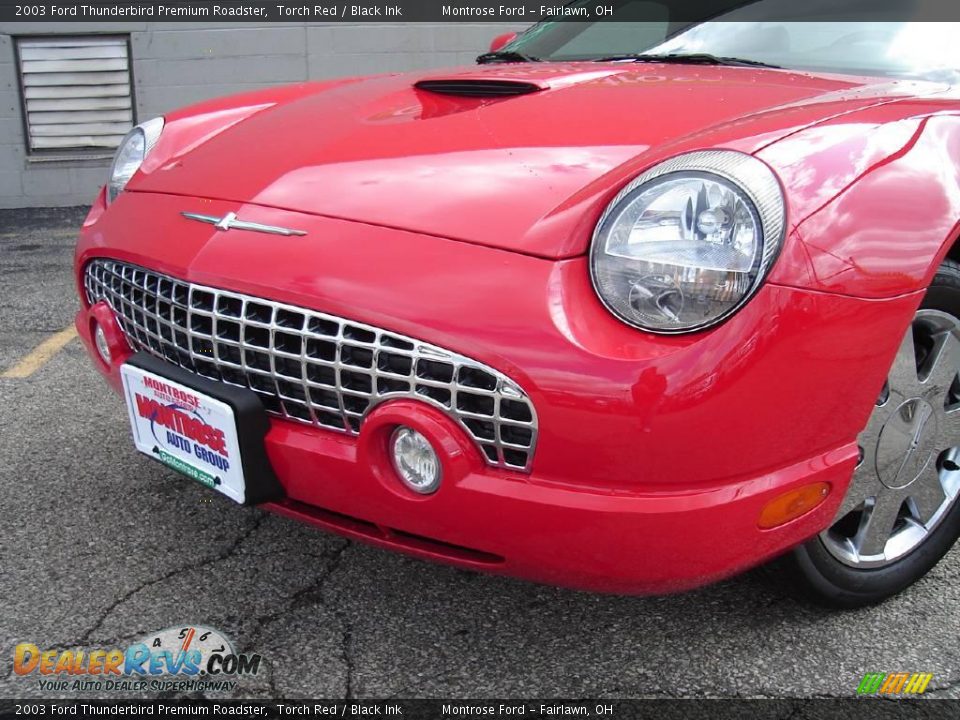2003 Ford Thunderbird Premium Roadster Torch Red / Black Ink Photo #9