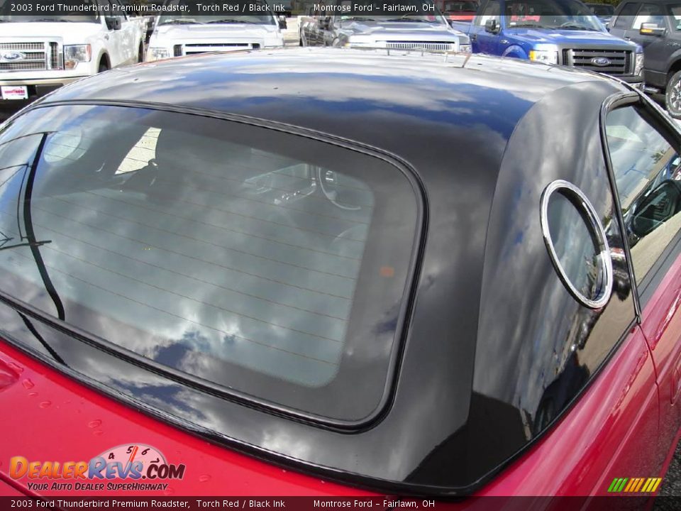 2003 Ford Thunderbird Premium Roadster Torch Red / Black Ink Photo #13