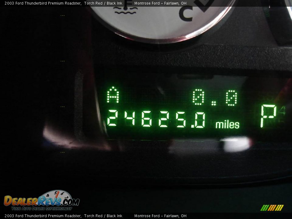 2003 Ford Thunderbird Premium Roadster Torch Red / Black Ink Photo #22