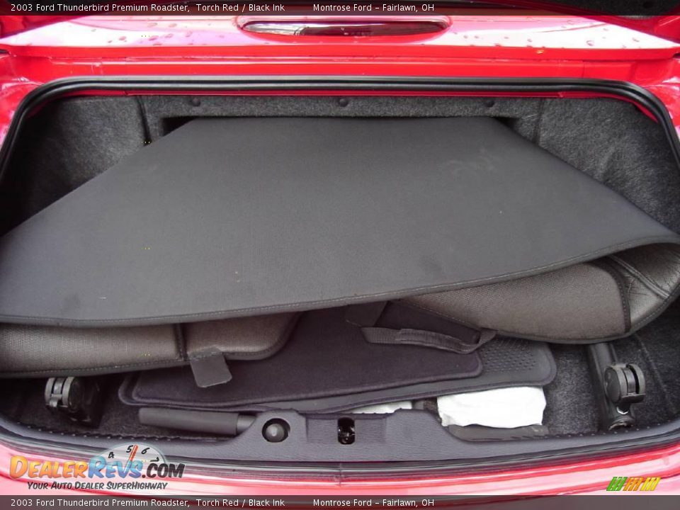 2003 Ford Thunderbird Premium Roadster Torch Red / Black Ink Photo #27