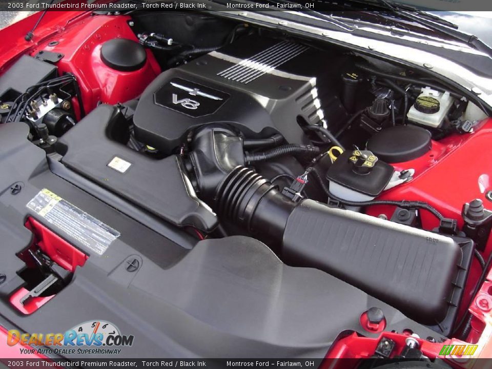 2003 Ford Thunderbird Premium Roadster Torch Red / Black Ink Photo #29