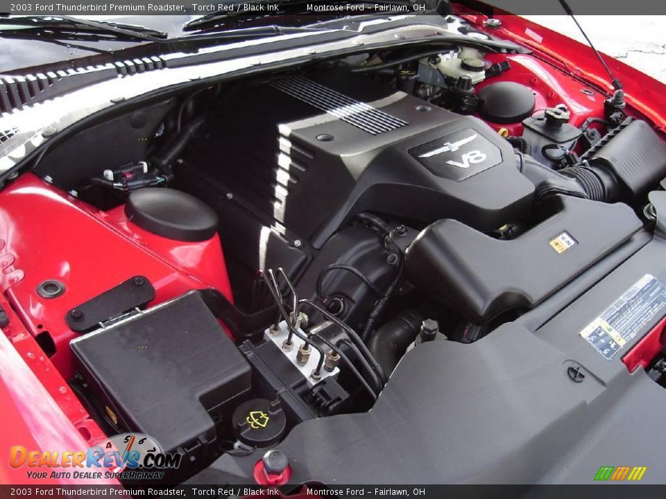 2003 Ford Thunderbird Premium Roadster Torch Red / Black Ink Photo #30
