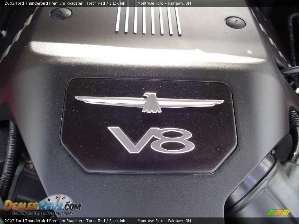 2003 Ford Thunderbird Premium Roadster Torch Red / Black Ink Photo #31