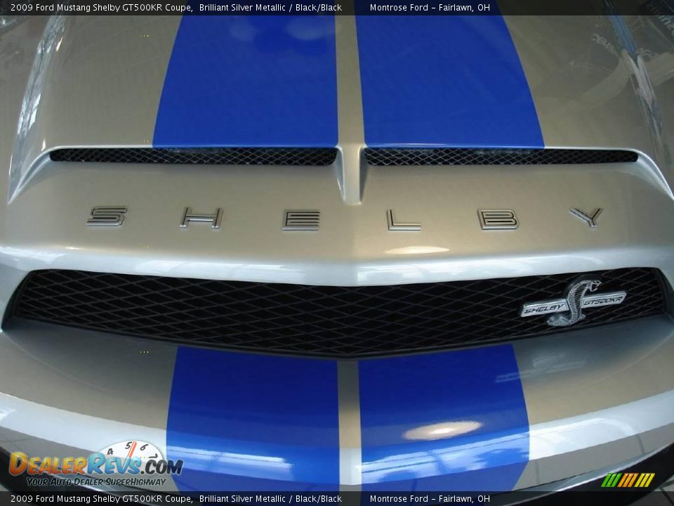 2009 Ford Mustang Shelby GT500KR Coupe Brilliant Silver Metallic / Black/Black Photo #7