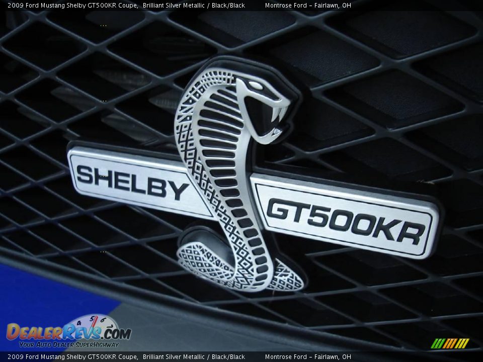 2009 Ford Mustang Shelby GT500KR Coupe Brilliant Silver Metallic / Black/Black Photo #8
